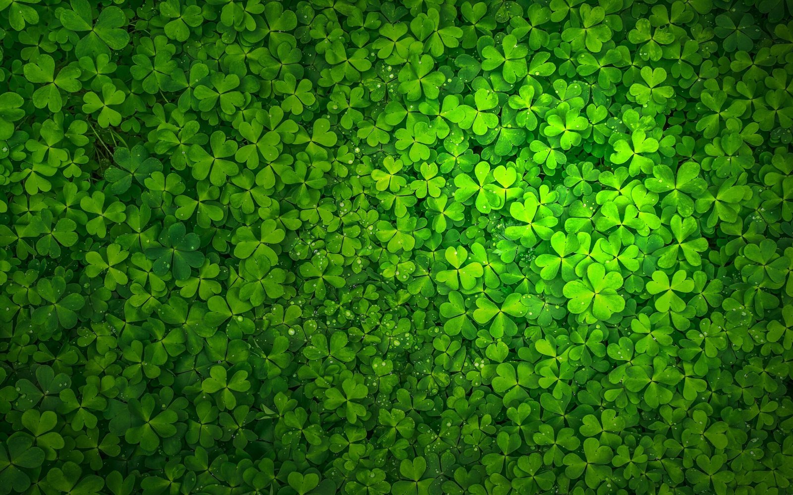 st-patrick-s-day-2K-wallpaper